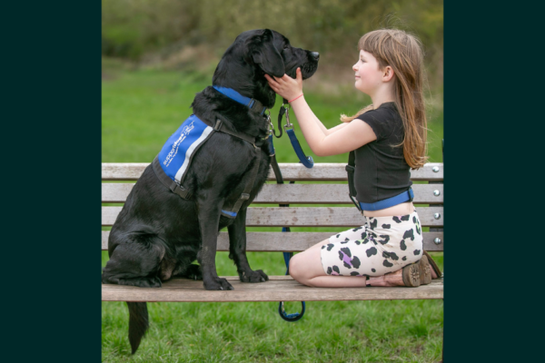 Marvellous Mandy: A True Superdog 