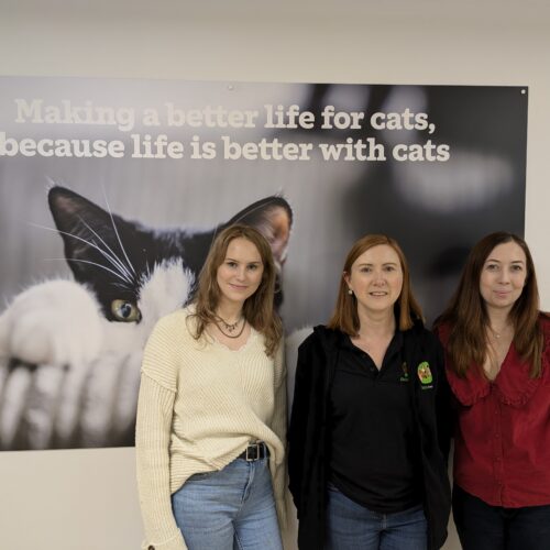 Three women standing in front of a cat poster that says, "Making a better life for cats, because life is better with cats."